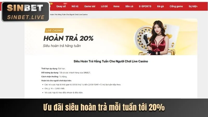 Biểu tượng đại diện cho các loại hình cá cược khác nhau trên BetVip như thể thao, game bài, nổ hũ, bắn cá, đá gà.
